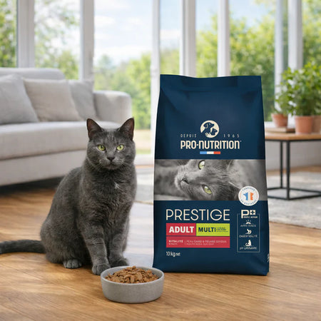 Cat food for adult cats aged one year and older, with chicken and vegetables | 10 kg