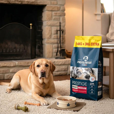 Recommended food for adult dogs | 17 kilogram bag