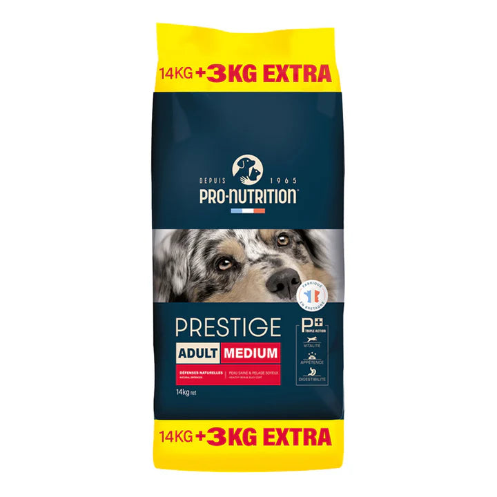 Recommended food for adult dogs | 17 kilogram bag