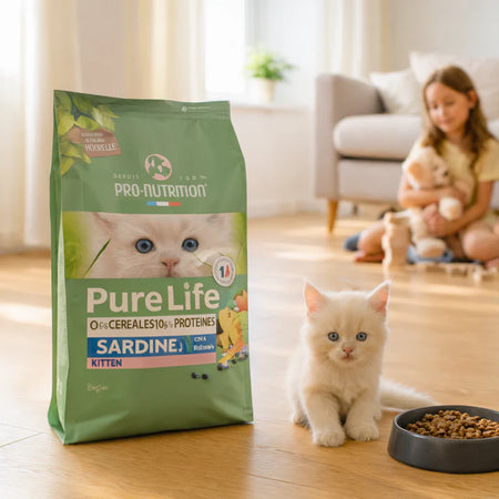 Food for kittens up to one year old | 8-kilogram bag