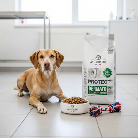Hypoallergenic food for dogs with skin sensitivities and allergies 12 kilograms